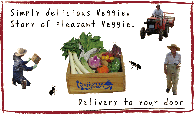 delivery veggie box